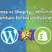 WordPress vs Shopify from a website maintenance perspective